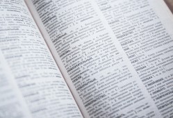 小学生百科常识，跨学科知识的启蒙之旅