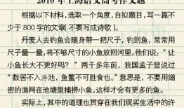 关于2022年东奥的作文 坐飞机还是步行？