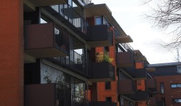 探索住宅，人类居住空间的历史与演变