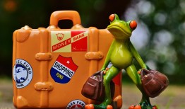 探索幼儿世界的奇妙之旅，幼儿知识百科内容概览