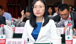 长安启辰图片及报价
