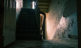 探索住宅的意义，从遮风避雨到心灵归宿