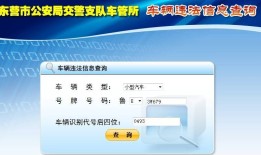 怎么查询汽车违章照片