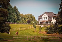 探索住宅多样性，住宅类型全解析