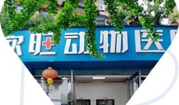 涿州市宠物医院