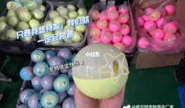 苏州宠物交易市场