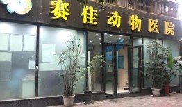 朝阳宠物学校