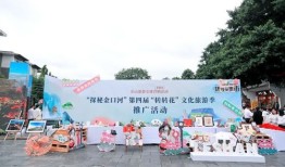 乐山旅游产品设计