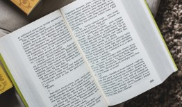 文学常识与文化常识，探索知识领域的两个维度