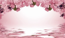 探索花语，花朵的无声语言