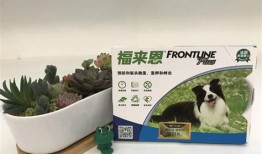 天津国际宠物展