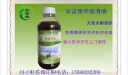 乳酸菌饮料过期了还能喝吗