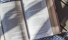 探索知识的海洋，如何撰写500字以上的百科知识文章