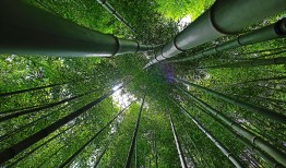 韩国救火英雄的悲歌，一次直升机坠毁的深刻反思