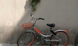 失恋后的40天，共享单车——城市中的治愈之旅