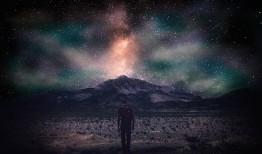 探索花语的隐秘世界，小众又惊艳的花语