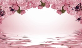 探索花语，寓意美好的花卉及其象征意义