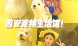西安哪里有宠物乐园
