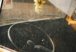 探索小鹏汽车，品牌旗下的车型概览