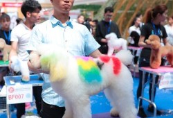 厦门宠物医院哪家最好