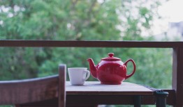 茶叶的世界大观，从绿茶到红茶，种类繁多的魅力探索