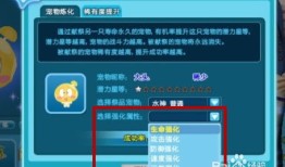 炫舞宠物不能强化吗