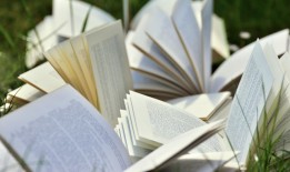 探索小学文学常识，开启智慧之门