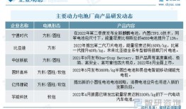 全球动力电池市场增速放缓，比亚迪挑战宁德时代的霸主地位