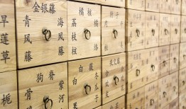 探索中药世界，药材图谱与知识概览