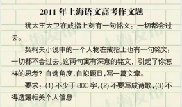 关于2022年东奥的作文 坐飞机还是步行？