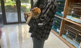 男朋友宠我说明什么意思
