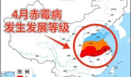 黑海地区天气影响下小麦价格飙涨分析报告

周报