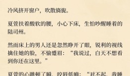 女主是宠物的小说