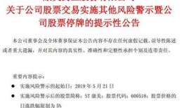 金一文化停牌原因