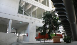 探索水泥房厂，现代建筑的基石