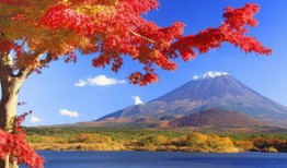 秋天哪里旅游最好