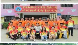 翔鹏训犬学校