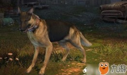 明日之后负重犬是哪只