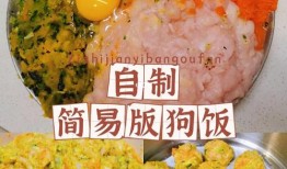宠物可以干嘛
