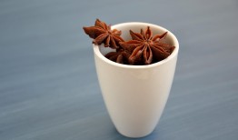 探索神秘香气，马麝香的独特风味与应用