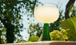 探索新世界葡萄酒的魅力，品种、风味与全球影响