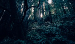 探索原神的奇幻世界，地图全貌最新解析