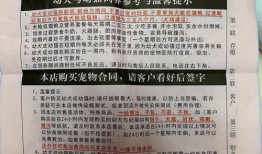 掩埋宠物处罚