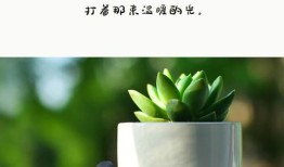 9好美的人生绘本 | 一份来自时光深处的礼物