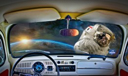探索领克汽车，创新科技与驾驶乐趣的完美融合