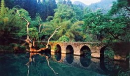 贵州荔波旅游攻略