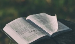 探索文学常识，理解文学世界的基础