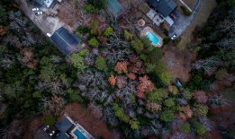 探索蟋蟀的住宅，自然中的建筑奇迹