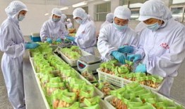 附近宠物食品厂招工