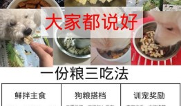 宠物生骨肉的好处